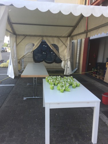 Litcamp, Literaturcamp, Litcamp19